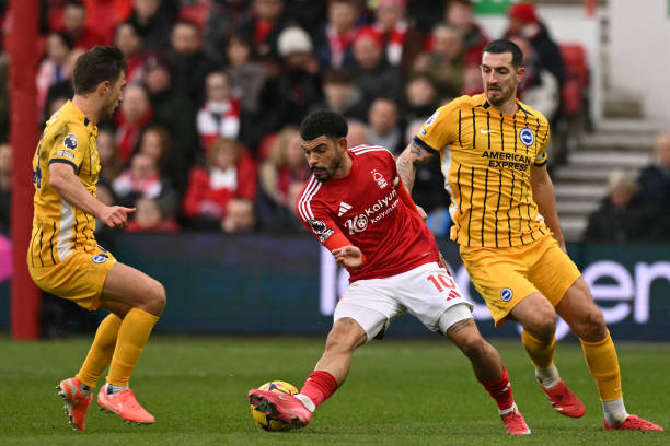 的奥运表现 的奥运表现