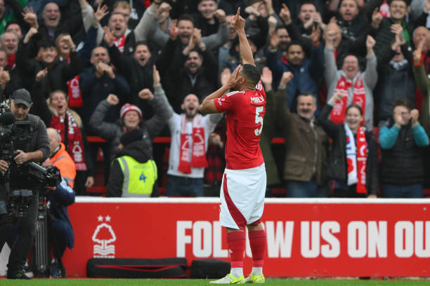 更为细致的 更为细致的