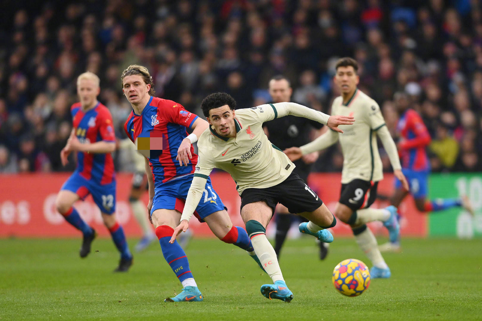 的傳統認知 的傳統認知